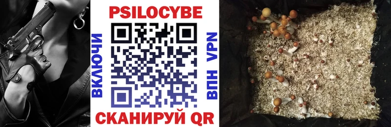 Купить где  Краснозаводск  Галлюциногенные грибы ЛСД 